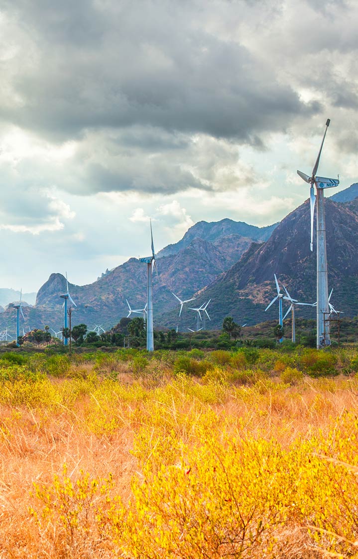 Wind_turbines_India_Smaller_WEB Wind_turbines_India_Smaller_WEB